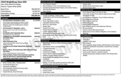 2023 BrightDrop Zevo 600 EJY